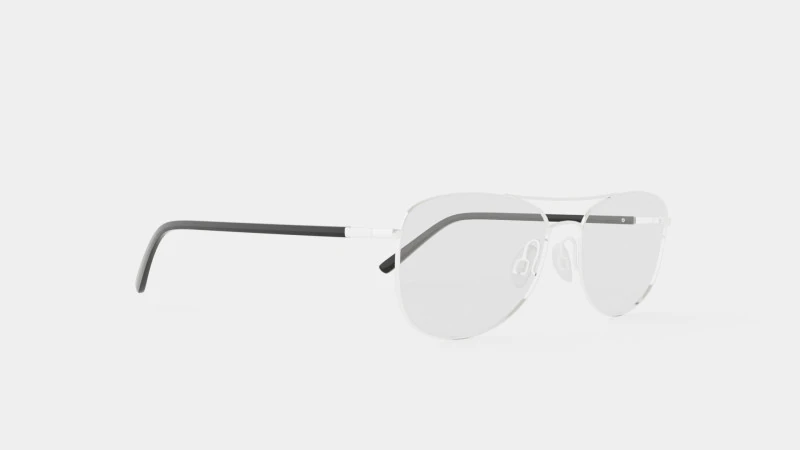 Skaga - 2616 KANELROS 045 Glasses 3D Model .c4d .max .obj .3ds .fbx .stl .blend 