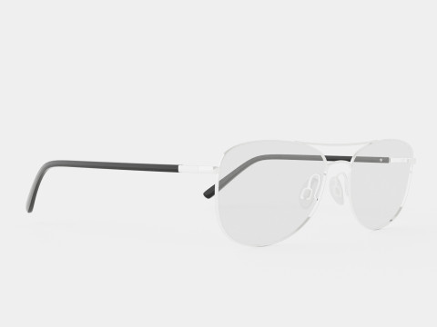 Skaga - 2616 KANELROS 045 Glasses Modèle 3D