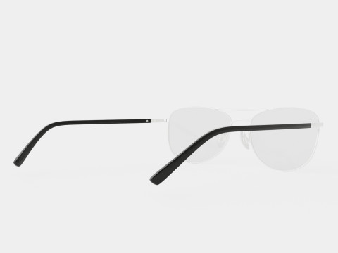 Skaga - 2616 KANELROS 045 Glasses 3D 모델
