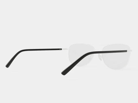 Skaga - 2616 KANELROS 045 Glasses 3D Model