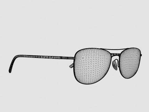Skaga - 2616 KANELROS 045 Glasses 3D 모델