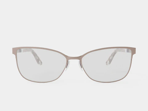 Skaga - 2785 FRAMTID 024 Lunettes Modèle 3D