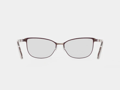 Skaga - 2785 FRAMTID 024 Lunettes Modèle 3D