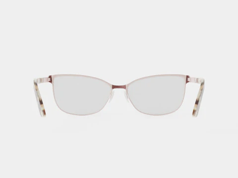 Skaga - 2785 FRAMTID 200 Glasses 3D Model