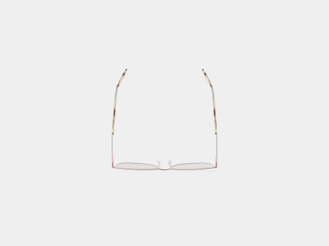 Skaga - 2785 FRAMTID 200 Glasses Modelo 3D