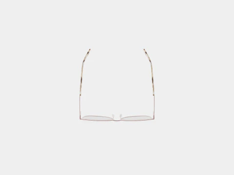 Skaga - 2785 FRAMTID 200 Glasses 3D Model