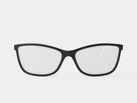 Skaga - 2787 EXPEDITION 001 Glasses 3D Model