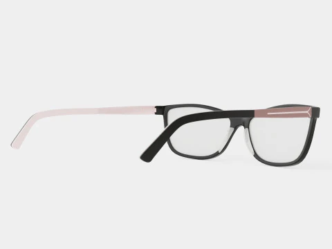Skaga - 2787 EXPEDITION 001 Glasses 3D Model