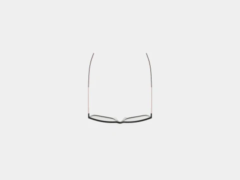 Skaga - 2787 EXPEDITION 001 Glasses 3D Model