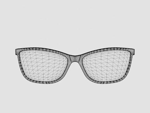 Skaga - 2787 EXPEDITION 001 Glasses 3D Model