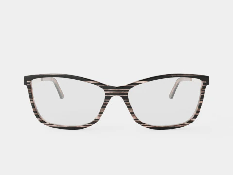 स्कागा - 2787 अभियान 210 चश्मा 3D मॉडल