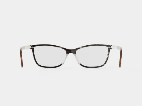 स्कागा - 2787 अभियान 210 चश्मा 3D मॉडल