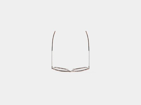 Skaga - 2787 EXPEDITION 210 Glasses 3D मॉडल