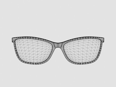 Skaga - 2787 EXPEDITION 424 Glasses 3D Model