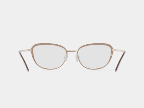 Skaga - 3000 BACKSIPPA 662 Glasses 3D Model