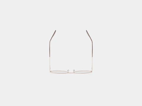 Skaga - 3000 BACKSIPPA 662 Glasses 3D Model