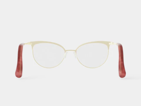 Swarovski - SK5275 028 Glasses 3D Model