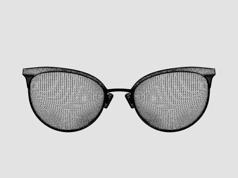 Swarovski - SK5275 028 Glasses 3D Model
