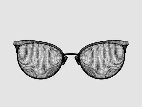Swarovski - SK5275 028 Glasses 3D Model
