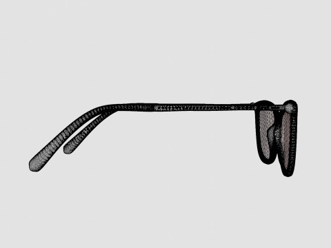 Swarovski - SK5316 066 Glasses Modello 3D