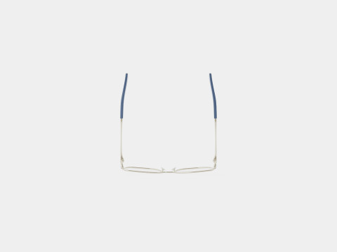 Swarovski - SK5352 016 Glasses 3D 모델