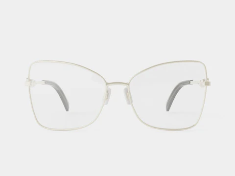 Swarovski - SK5369 016 Glasses 3D Model