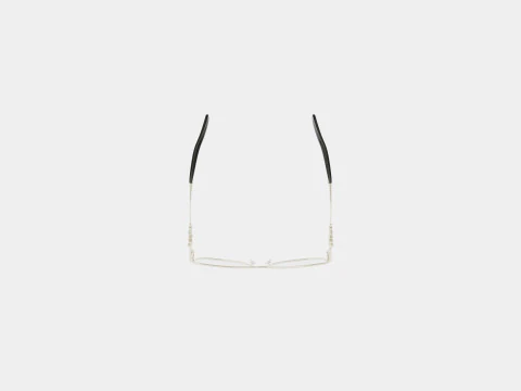 Swarovski - SK5369 016 Glasses 3D Model