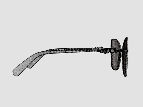 Swarovski - SK5369 030 Glasses 3D Model