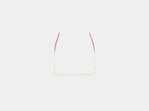 Swarovski - SK5369 033 Glasses 3D Model