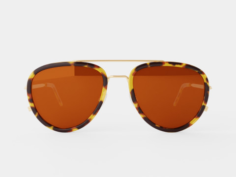 Tomas Maier - TM0009S 002 Sunglasses Modelo 3D