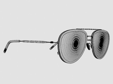 Tomas Maier - TM0009S 002 Sunglasses Modelo 3D