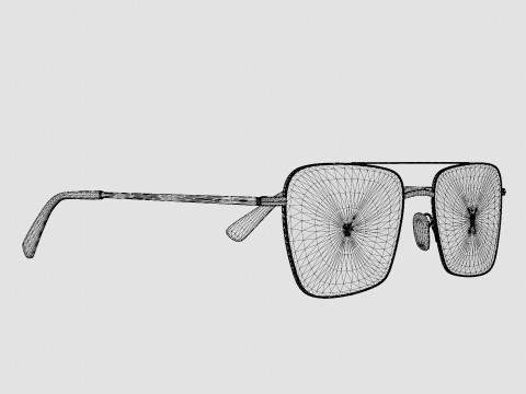Vasuma - CANEBRAKE C5 Glasses 3D Model