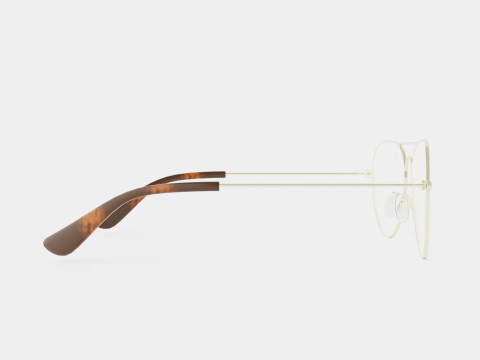 Vasuma - Eggeater Seo Glasses Modèle 3D