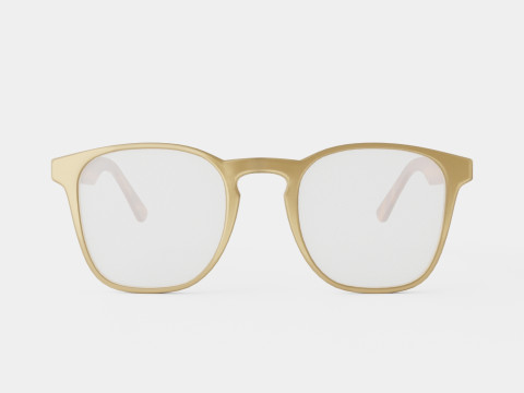 Vasuma - NATAL NJP4 Glasses 3D 模型
