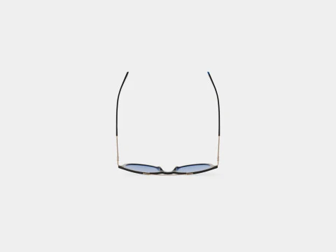 Web - WE0185 01V Sunglasses 3D Model