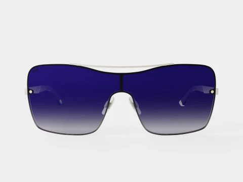 Web - WE0202 Sunglasses 3D Model