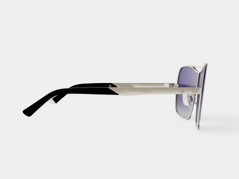Web - WE0202 Sunglasses 3D Model