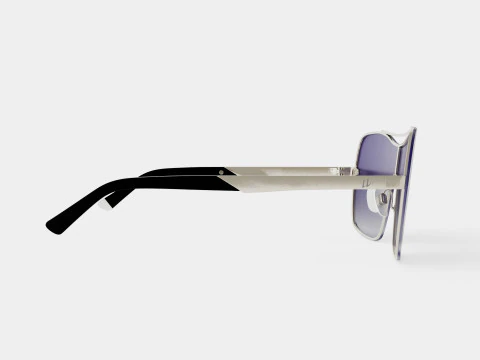 Web - WE0202 Sunglasses 3D Model