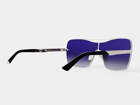 Web - WE0202 Sunglasses 3D Model