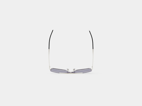 Web - WE0202 Sunglasses 3D Model