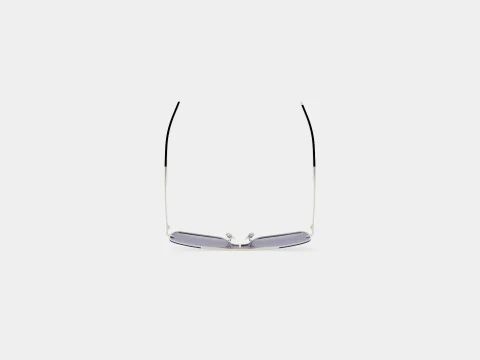Web - WE0202 Sunglasses 3D Model