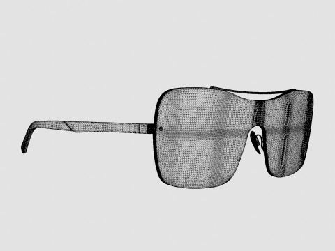 Web - WE0202 Sunglasses 3D Model