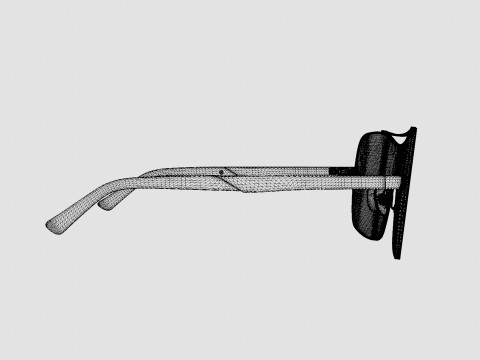 Web - WE0202 Sunglasses 3D Model