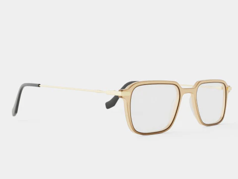 윌리엄 모리스 - 50175 C2 안경 3D 모델