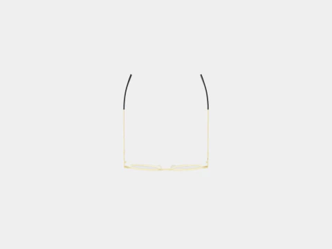 William Morris - 50176 C1 Glasses 3D Model
