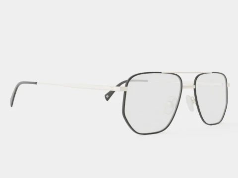 William Morris - &Oacute;culos PAUL C1 Modelo 3D