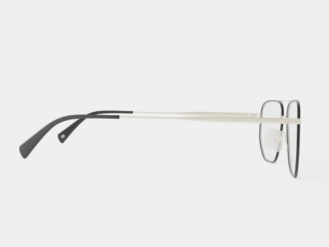 William Morris - PAUL C1 Glasses Modèle 3D