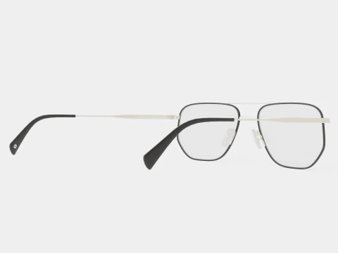 William Morris - PAUL C1 Glasses 3D Model