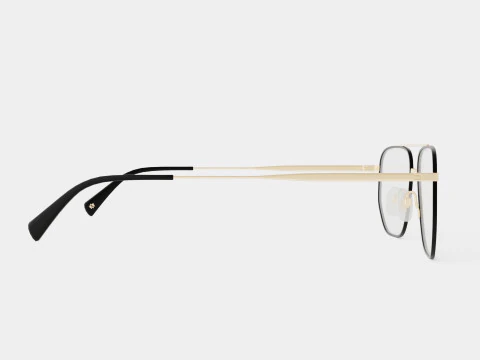 William Morris - PAUL C2 Glasses 3D Model