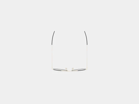 William Morris - PAUL C2 Glasses 3D Model